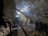 IMG_5584